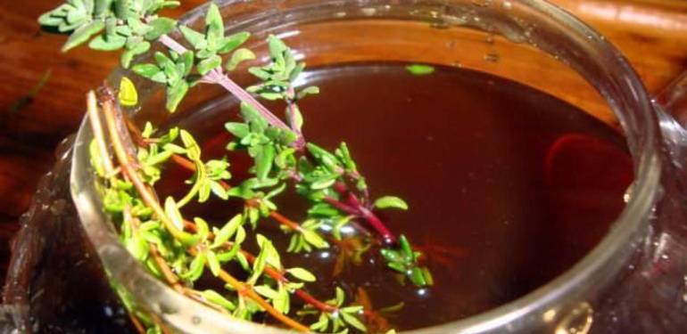 Kekik suyu yararları nelerdir, nasıl kullanılır? Damıtılmış kekik suyu nasıl yapılır?