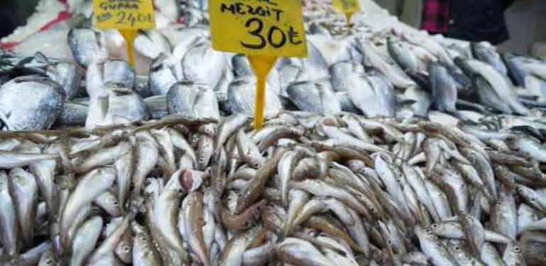Kilosu 30 TL’ye satılan balıklara ilgi yok denecek kadar az