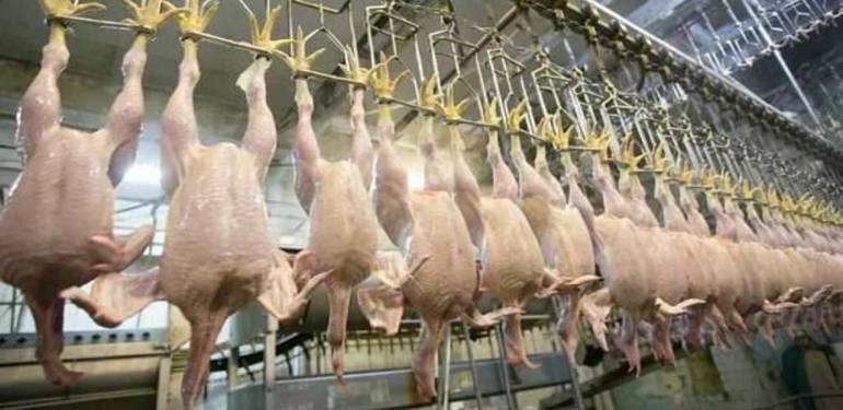 Tavuk eti üretimi yıllık bazda azaldı