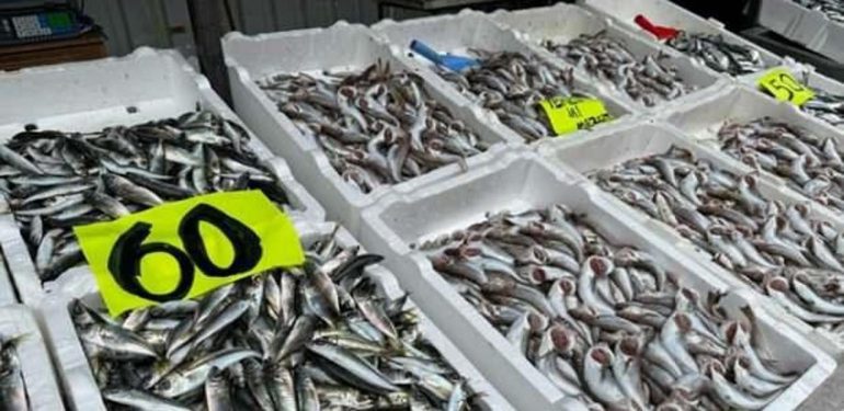 Tezgahlardaki bolluk fiyatlara yansıdı